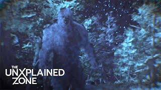 Evidence of Bigfoot UNCOVERED in Wyoming | The UnXplained