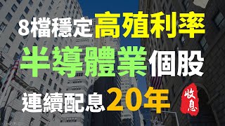 存電子股很危險? 8檔高殖利率的半導體股票，自己組高股息ETF | Haoway 穩定收息策略