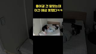 몰래 보다가 소리 지를 뻔 ㅋㅋㅋ