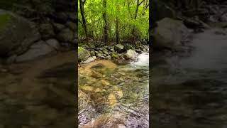 Knuckles mountain - Sri Lanka