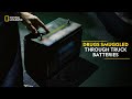 Drugs Smuggled Through Truck Batteries | To Catch a Smuggler | National Geographic