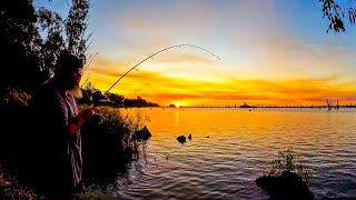 Lake Mulwala, Fishing Off The OLD Majors Creek Boat Ramp