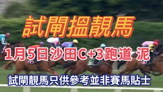 1月5日沙田C + 3跑道 泥地試閘搵￼靚馬