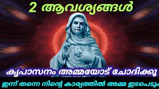 2 ആവശ്യങ്ങൾ കൃപാസനം അമ്മയോട് ചോദിക്കൂ 🙏 ആവേ മരിയ🙏 12/02/25 #kripasanam  #kreupasanam #കൃപാസനം