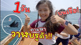 1 วันบนเรือ! ตามหาวาฬบรูด้า!! เจอเต็มๆ | แม่ปูเป้ เฌอแตม Tam Story