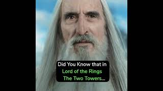Did you know that in Lord of the Rings: The Two Towers...