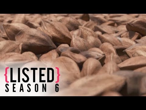 Pili Nuts | Listed Season 6 Pili Nuts | Listed Season 6