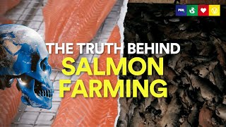 The Salmon Industry Doesn't Want You To See This - Eating Our Way To Extinction
