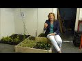 technology pioneer 2015 marjolein helder plant e