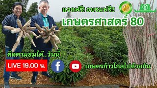 แจกฟรี อบรมฟรี!!..มันสําปะหลังเกษตรศาสตร์ 80