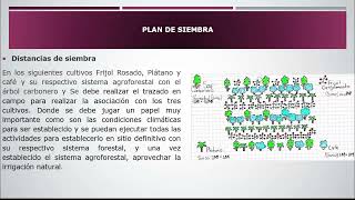 DISEÑO DE UN SISTEMA AGROFORESTAL (SAF) CON PLANTACIONES DE FRIJOL, PLATANO, CAFÉ Y CARBONERO