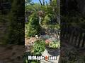 To Garden is to Relax! Japanese Maple Landscape Design Ideas! MrMaple.com #japanesemaple #garden