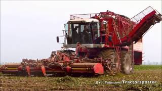 Agrifac Hexa 12 - 12 row sugar beet 12333