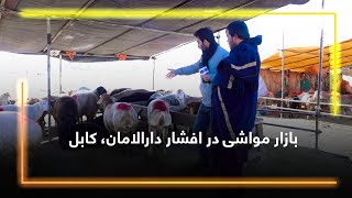 The livestock market in Afshar, Darulaman, Kabul / بازار مواشی در افشار دارالامان، کابل