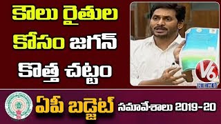 AP CM YS Jagan Speaks On Tenant Farmer In AP Assembly | V6 News