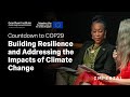 Countdown to COP29: Building Resilience and Addressing the Impacts of Climate Change