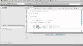 Variables, Declarations, Names, and Coding Conventions