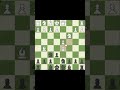 Отказанный ферзевой гамбит! #шахматырулят #шахматы #chess #chesscom