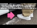 【新型ノア】子育て世帯必見！ユニバーサルステップ！なくても子供の乗り降り平気？付けなかった理由も解説！