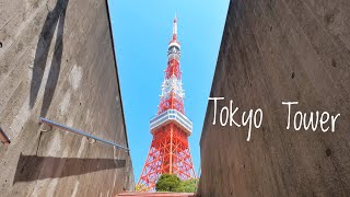 Tokyo Tower  東京タワー