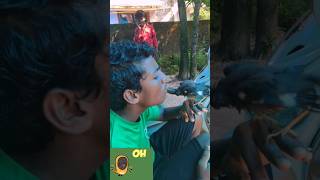 🐦ഒരു ഉമ്മ തരുമോ /Kiss Mee 🥰 #youtubeshorts #shortsvideo #shortsfeed #viral