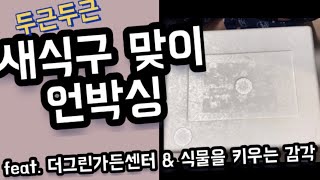 새식구 맞이 언박싱! 오늘도 온라인 식물쇼핑 대만족!