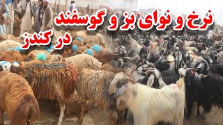 نرخ ونوای بز وگوسفند در مال بازار کندز| نسل بزهای خارجی وگوسفند های قزاقستانی |‌