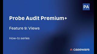 Caseware Probe Audit Premium+ | Feature 9: Views