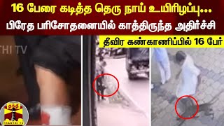 16 பேரை கடித்த தெரு நாய் உயிரிழப்பு... பிரேத பரிசோதனையில் காத்திருந்த அதிர்ச்சி