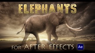 Elephants - After Effects (Create Custom Elephant Animations)