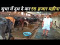 22 पशु से 55 हज़ार कमाने वाला मनेर का युवा किसान  | Dairy Farm