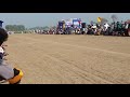 Download Dog racing in punjab 2018 || fastest dogs in the world || greyhound In Mp4 3Gp Full HD Video