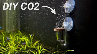 DIY CO2 For Planted Aquarium! (Cheap and Easy)
