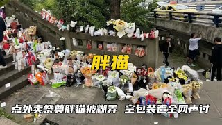 网友点外卖祭奠胖猫被糊弄，空包装遭全网声讨，麦当劳直接赢麻了