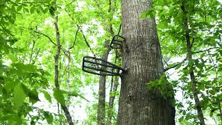 100 Acres in Hinds County, Mississippi For Sale