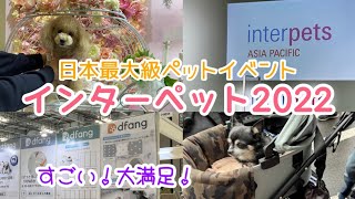 【インターペット2022】大盛況！今年はレイとくるみも行きました