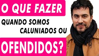 CALÚNIA E OFENSA? O QUE FAZER, COMO AGIR?  REFLEXÃO  DE PADRE FABIO DE MELO