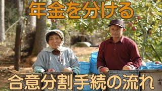 年金を分ける合意分割手続の流れ＃夫婦問題＃離婚問題