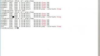 Linux Topic 6 - Process Management