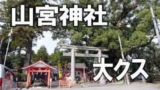 山宮神社と大クス　志布志市志布志町安楽山宮神社