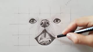 ¿Cómo dibujar un perrito paso a paso? How to draw a little dog