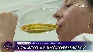 El mejor vino del mundo se produce en Olaya, Antioquia: Viña Sicilia rompe paradigma | RTVC Noticias