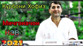 курбони хофиз!! (мичгоначон)барои ту газал мегуям эй дуст барои шумо дустон 2021