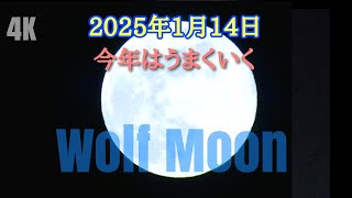 2025年1月の満月・ウルフムーン🌕1月14日 7:27【始まりの月】「適した願い事」fullmoon│wolfmoon│japan│タロット│春日部