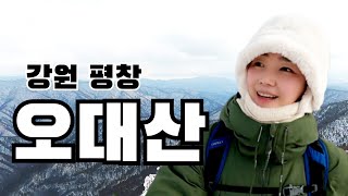 [4K] 강원도 평창 오대산 상원사코스 | 비로봉 1,563m  최단코스 | 겨울 산행지 추천 | 100대명산 | 등산 | 등산브이로그 |오대산국립공원