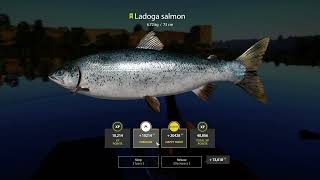 Russian Fishing 4 Volkhov River Ladogo Salmon 6 . 72 Kg