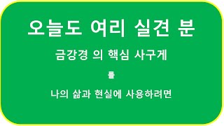 금강경 인생수업 17회차 }  금강경 사구게 확실히..