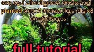 ബൗൾ അക്വാറിയത്തിനുള്ളിൽ ഒരു അടിപൊളി ടെറേറിയം സെറ്റ്ചെയ്യാം