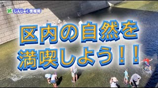 新宿区広報番組「しんじゅく情報局」～区内の自然を満喫しよう、夏目漱石コンクール等をご紹介（令和5年7月5日～7月14日放送回）