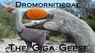 Prehistoric Breakdown: Dromornis (Demon Ducks Part 1)